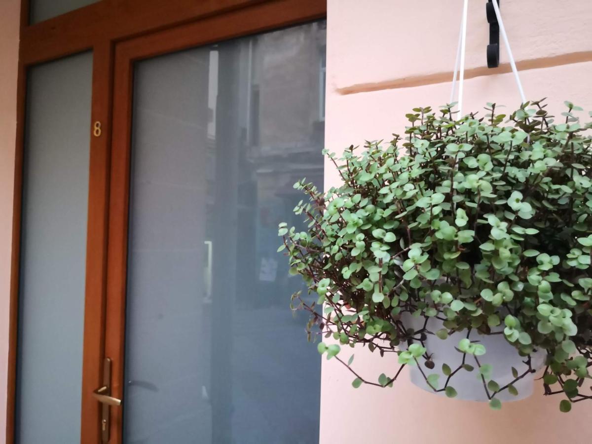 Затишні Апартаменти, Вулиця Дерибасівська, 13 Odessa Ngoại thất bức ảnh